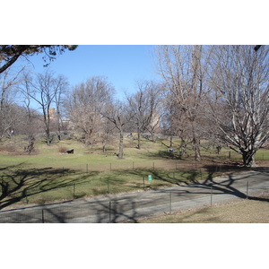 照片 美国(United States) 纽约(New York) 中央公园(Central Park) 2006-03 13
