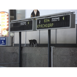 照片 俄罗斯(Russia) 圣彼得堡(St Petersburg) 郊区(Suburbs) 2006-07 5