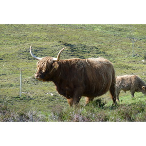照片 英国(United Kingdom) 斯凯岛(Skye) 库林山脉(The Cuillin) 2011-07 101