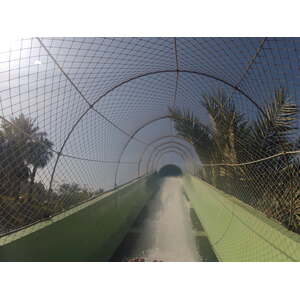 照片 阿联酋(United Arab Emirates) 迪拜(Dubai) 迪拜水世界(Dubai Aquaventure) 2012-01 56