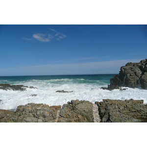 照片 南非(South Africa) 齐齐卡马国家公园(Tsitsikamma National Park) 2008-09 374