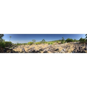 照片 泰国(Thailand) 普欣隆卡国家公园(Phu Hin Rong Kla National Park) 2014-12 416
