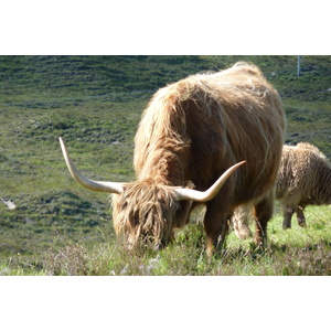照片 英国(United Kingdom) 斯凯岛(Skye) 库林山脉(The Cuillin) 2011-07 67