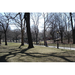 照片 美国(United States) 纽约(New York) 中央公园(Central Park) 2006-03 22