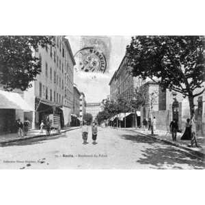 照片 法国(France) 科西嘉岛(Corsica) 老明信片(Old Postcards) 巴斯蒂亚(Bastia) 1900-01 180