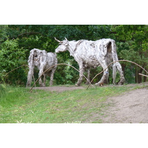 照片 英国(United Kingdom) 伯利庄园(Burghley House) 2011-07 65