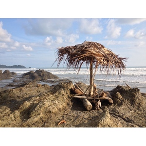照片 哥斯达黎加(Costa Rica) 多米尼卡尔(Dominical) 2015-03 79