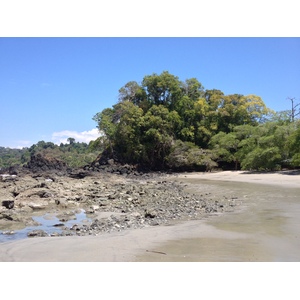 照片 哥斯达黎加(Costa Rica) 曼努埃尔安东尼奥(Manuel Antonio) 2015-03 104