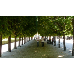 照片 法国(France) 巴黎(Paris) 皇家宫殿(Palais Royal) 2007-08 22