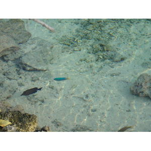 照片 波利尼西亚(Polynesia) 波拉波拉艾美酒店(Meridien Bora Bora Hotel) 2006-04 46