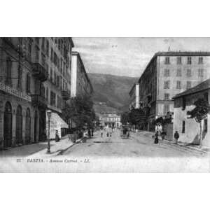 照片 法国(France) 科西嘉岛(Corsica) 老明信片(Old Postcards) 巴斯蒂亚(Bastia) 1900-01 104