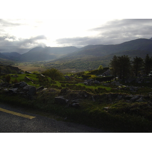 照片 爱尔兰(Ireland) 凯里郡(Kerry) 基拉尼国家公园(Killarney National Park) 2004-05 49