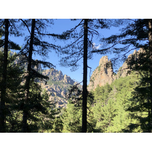 照片 法国(France) 科西嘉岛(Corsica) 雷斯托尼卡山谷(La Restonica) 2020-07 99