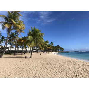 照片 瓜德罗普(Guadeloupe) 卡拉维尔海滩(La Caravelle Beach) 2021-02 0