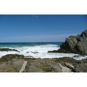 照片 南非(South Africa) 齐齐卡马国家公园(Tsitsikamma National Park) 2008-09 334