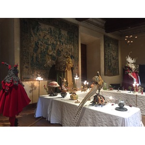 照片 法国(France) 阿宰勒里多城堡(Azay-le-Rideau Castle) 2017-08 37