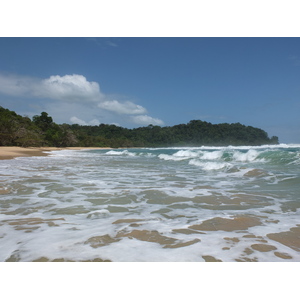 照片 巴拿马(Panama) 巴斯蒂门托斯岛(Bastimentos) 2015-03 52