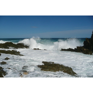 照片 南非(South Africa) 齐齐卡马国家公园(Tsitsikamma National Park) 2008-09 40