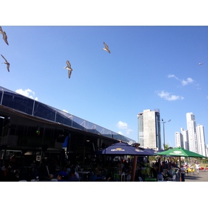 照片 巴拿马(Panama) 巴拿马城(Panama City) 2015-03 226
