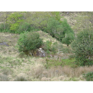 照片 爱尔兰(Ireland) 凯里郡(Kerry) 基拉尼国家公园(Killarney National Park) 2004-05 6