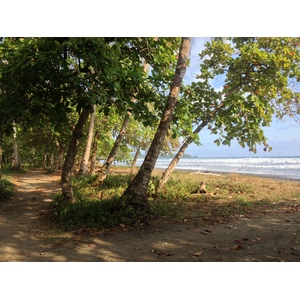 照片 哥斯达黎加(Costa Rica) 多米尼卡尔(Dominical) 2015-03 110