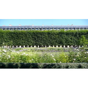 照片 法国(France) 巴黎(Paris) 皇家宫殿(Palais Royal) 2007-08 26