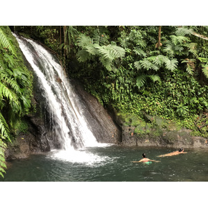 照片 瓜德罗普(Guadeloupe) 螯虾瀑布(Cascade aux ecrevisses) 2021-02 9