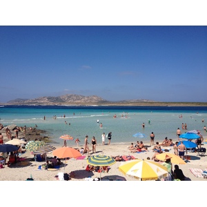 照片 意大利(Italy) 撒丁岛(Sardinia) 猎鹰角(Capo del Falcone) 2015-06 70