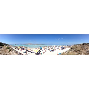 照片 意大利(Italy) 撒丁岛(Sardinia) 猎鹰角(Capo del Falcone) 2015-06 10