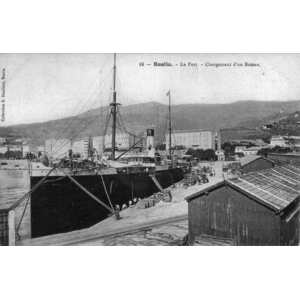 照片 法国(France) 科西嘉岛(Corsica) 老明信片(Old Postcards) 巴斯蒂亚(Bastia) 1900-01 65