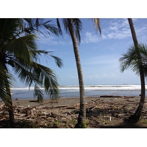 照片 哥斯达黎加(Costa Rica) 利蒙至锡基雷斯(Limon to Siquirres) 2015-03 8