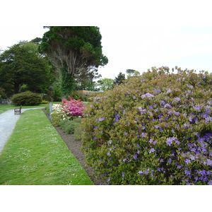 照片 爱尔兰(Ireland) 凯里郡(Kerry) 基拉尼国家公园(Killarney National Park) 马克罗斯庄园(Muckross House) 2004-05 6