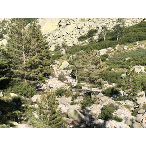 照片 法国(France) 科西嘉岛(Corsica) 雷斯托尼卡山谷(La Restonica) 2020-07 20
