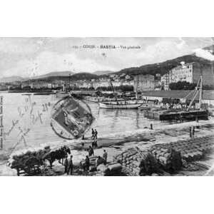照片 法国(France) 科西嘉岛(Corsica) 老明信片(Old Postcards) 巴斯蒂亚(Bastia) 1900-01 79