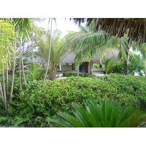 照片 波利尼西亚(Polynesia) 波拉波拉艾美酒店(Meridien Bora Bora Hotel) 2006-04 187
