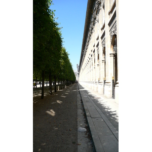 照片 法国(France) 巴黎(Paris) 皇家宫殿(Palais Royal) 2007-08 34