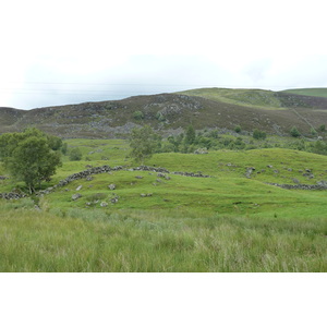 照片 英国(United Kingdom) 凯恩戈姆山国家公园(Cairngorms National Park) 2011-07 46