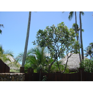 照片 波利尼西亚(Polynesia) 莫雷阿岛(Moorea) 珍珠度假酒店(Pearl Resort Hotel) 2006-04 14