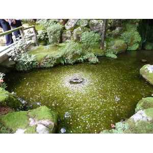 照片 日本(Japan) 京都(Kyoto) 银阁寺(Ginkakuji Temple(Silver Pavilion)) 2010-06 34