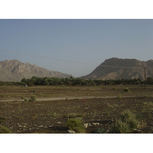 照片 阿曼(Oman) 布赖米至马哈达公路(Buraimi to Mahada road) 2005-03 45
