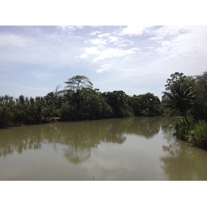 照片 哥斯达黎加(Costa Rica) 利蒙至锡基雷斯(Limon to Siquirres) 2015-03 7