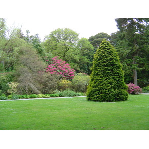照片 爱尔兰(Ireland) 凯里郡(Kerry) 基拉尼国家公园(Killarney National Park) 马克罗斯庄园(Muckross House) 2004-05 39