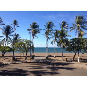 照片 哥斯达黎加(Costa Rica) 蓬塔雷纳斯(Puntarenas) 2015-03 167