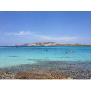 照片 意大利(Italy) 撒丁岛(Sardinia) 猎鹰角(Capo del Falcone) 2015-06 19