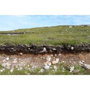 照片 英国(United Kingdom) 苏格兰(Scotland) 盖尔洛赫(Gairloch) 2011-07 17