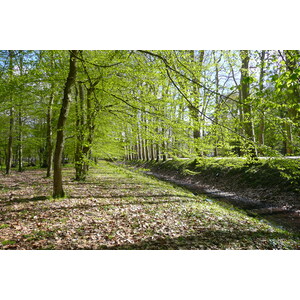 照片 法国(France) 舍农索城堡(Chenonceau Castle) 舍农索城堡花园(Gardens of Chenonceau) 2008-04 23
