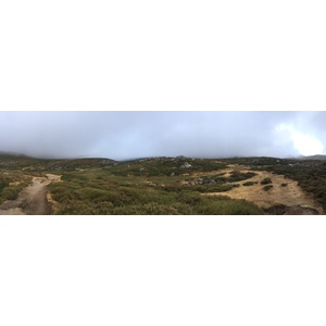 照片 法国(France) 科西嘉岛(Corsica) 阿尔塔罗卡(Alta Rocca) 2017-09 16