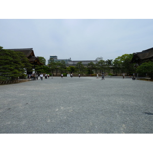 照片 日本(Japan) 京都(Kyoto) 二条城(Nijo Castle) 2010-06 87