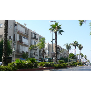 照片 以色列(Israel) 特拉维夫(Tel Aviv) 伊本·加比罗尔街(Ibn Gvirol Street) 2007-06 29