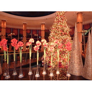 照片 阿联酋(United Arab Emirates) 迪拜(Dubai) 朱美拉海滩酒店(Jumeirah Beach Hotel) 2009-12 56